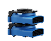 Soffiatore per moquette con filtro HEPA THORAIR® Pro Turtle