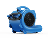 Soffiatore per tappeti THORAIR® Pro Snail